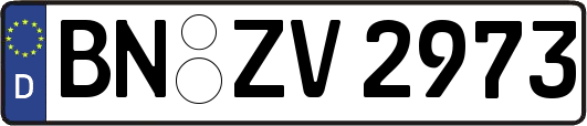 BN-ZV2973