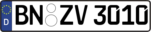 BN-ZV3010