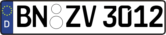 BN-ZV3012