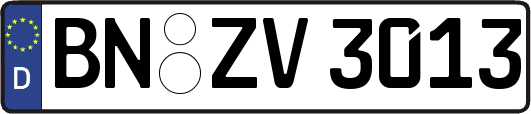 BN-ZV3013