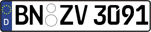 BN-ZV3091