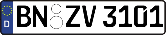 BN-ZV3101
