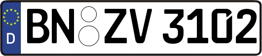 BN-ZV3102