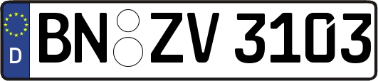BN-ZV3103