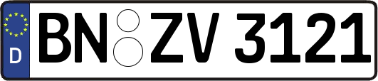 BN-ZV3121