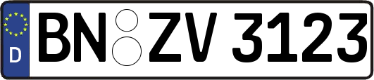 BN-ZV3123