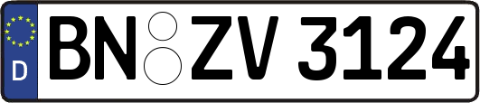 BN-ZV3124