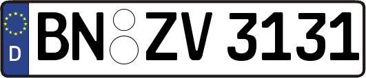 BN-ZV3131
