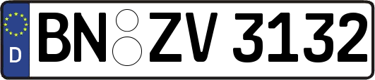 BN-ZV3132