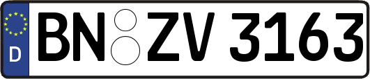 BN-ZV3163