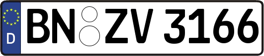 BN-ZV3166