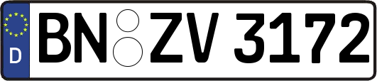 BN-ZV3172
