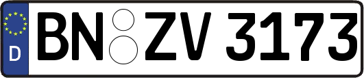 BN-ZV3173