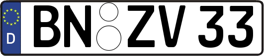 BN-ZV33