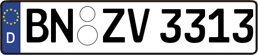 BN-ZV3313