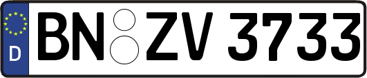 BN-ZV3733