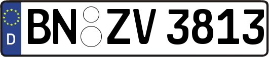 BN-ZV3813