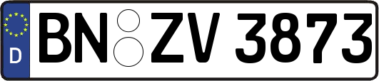 BN-ZV3873