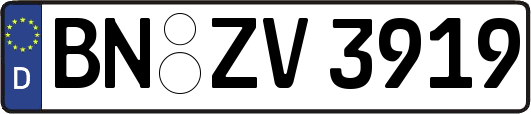 BN-ZV3919