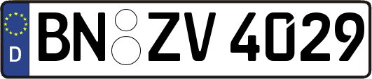BN-ZV4029