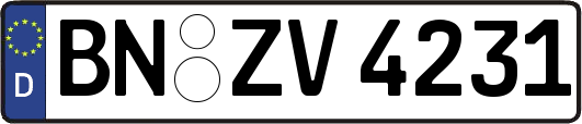 BN-ZV4231