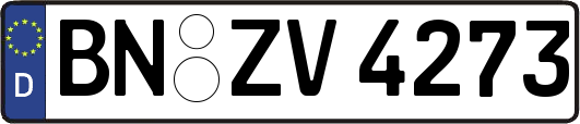 BN-ZV4273