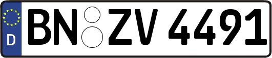BN-ZV4491