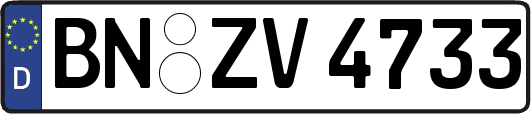 BN-ZV4733
