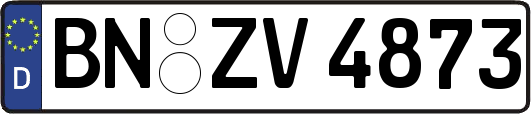 BN-ZV4873