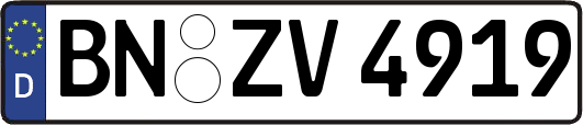BN-ZV4919