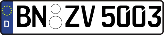 BN-ZV5003