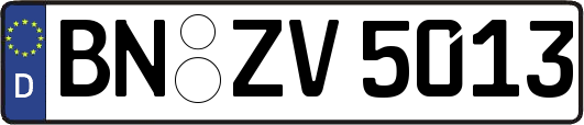 BN-ZV5013
