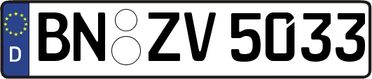 BN-ZV5033