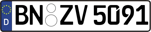 BN-ZV5091