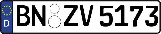 BN-ZV5173