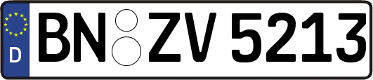 BN-ZV5213