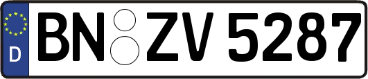 BN-ZV5287