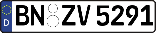 BN-ZV5291