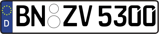 BN-ZV5300