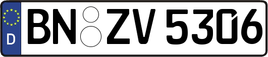 BN-ZV5306