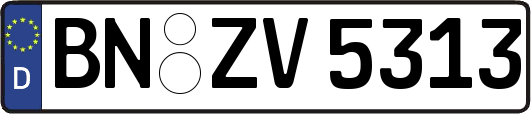 BN-ZV5313