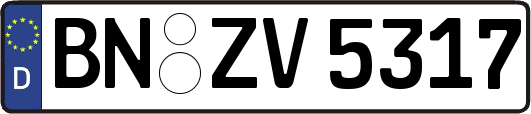 BN-ZV5317