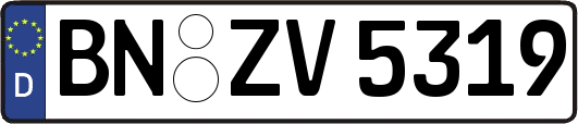 BN-ZV5319