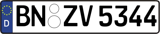 BN-ZV5344