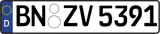 BN-ZV5391