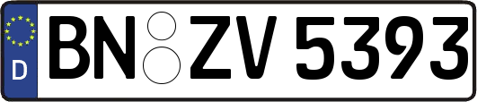 BN-ZV5393