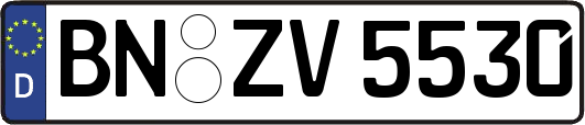 BN-ZV5530