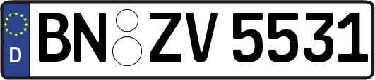 BN-ZV5531