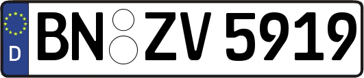 BN-ZV5919