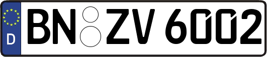 BN-ZV6002